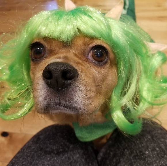 Meet your Posher, Shelli - Picture 2 of 3